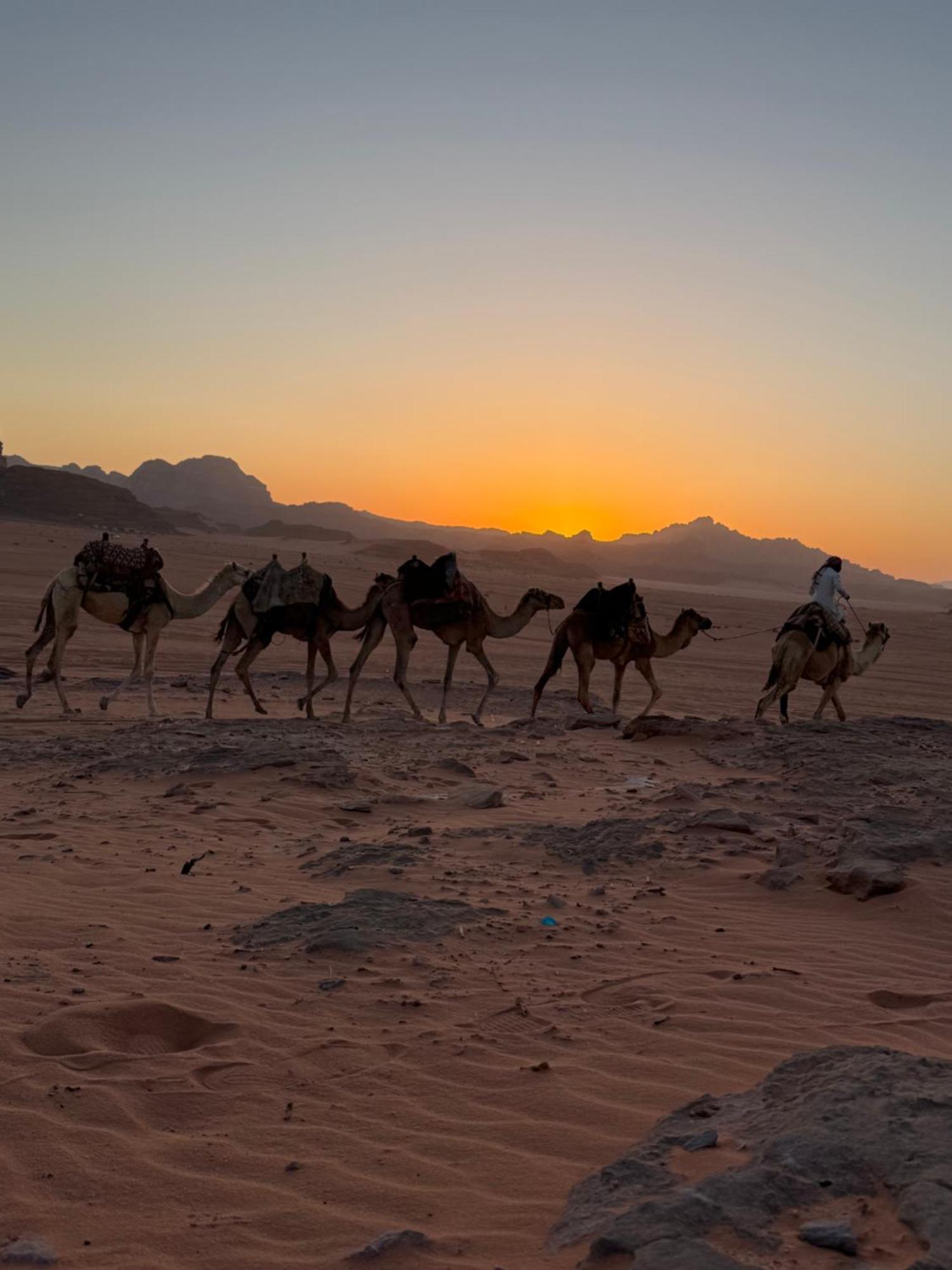 Faisal Wadi Rum Camp المظهر الخارجي الصورة